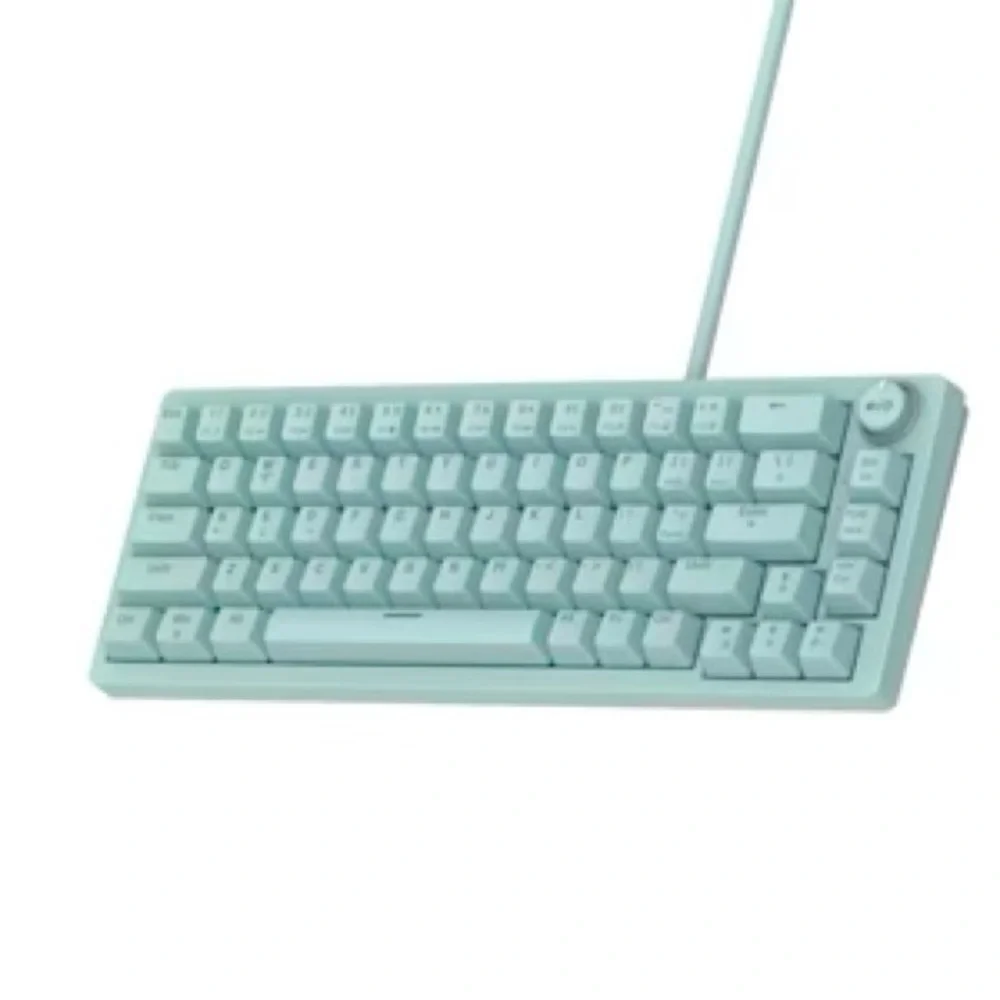 north base sleek mint